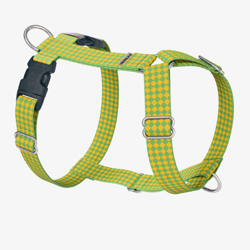 front view of harness front view of harness